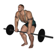 Barbell Row - Basic